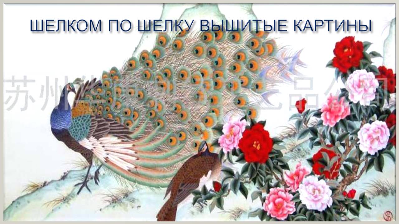 1_102.JPG