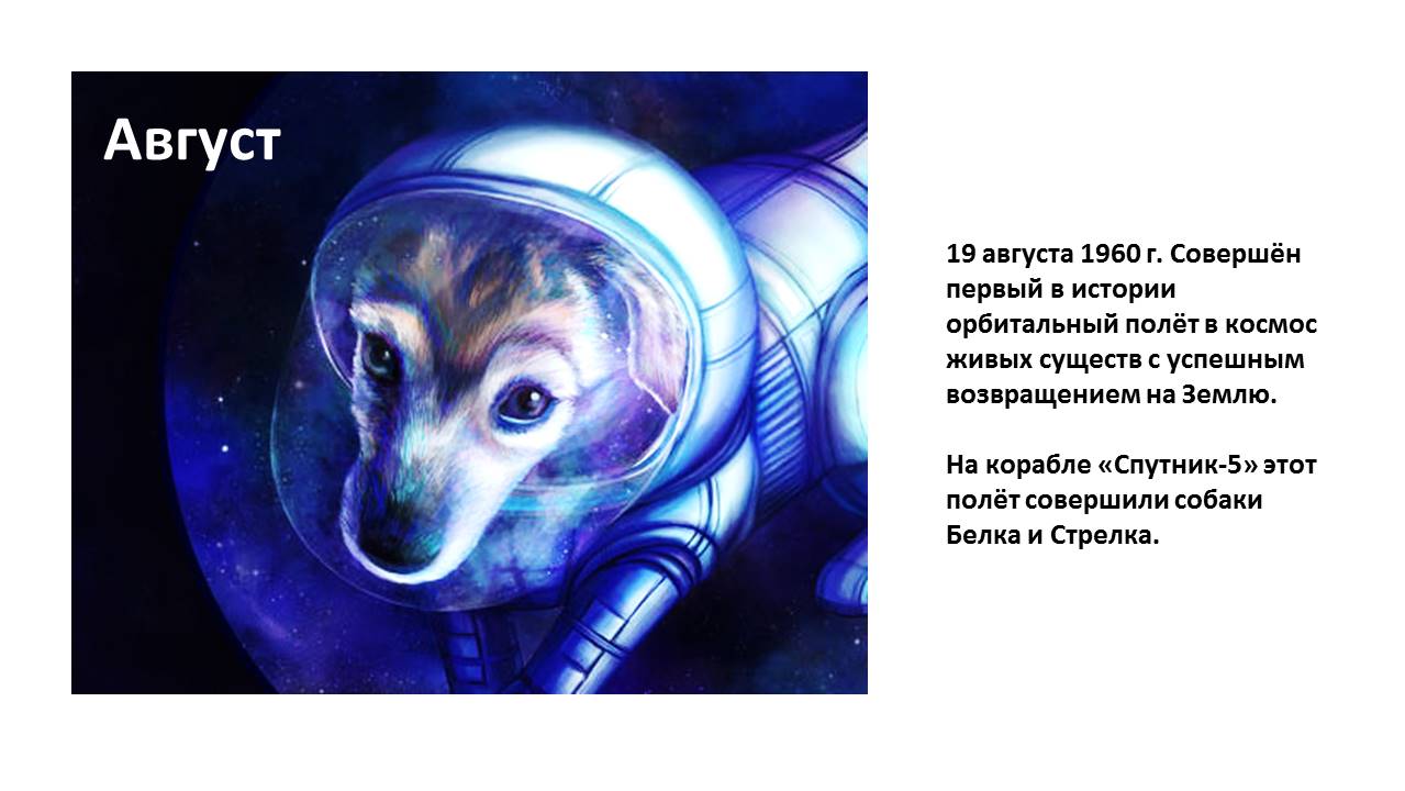 1_80.JPG