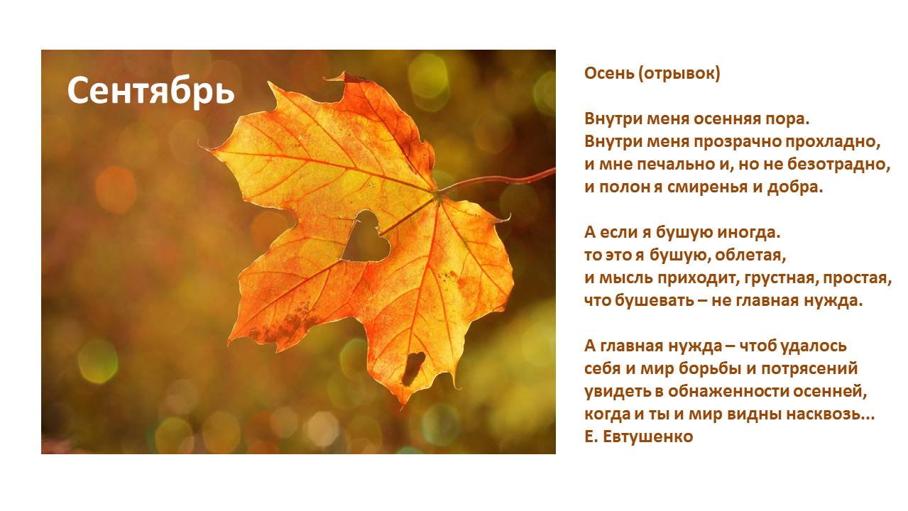 1_90.JPG